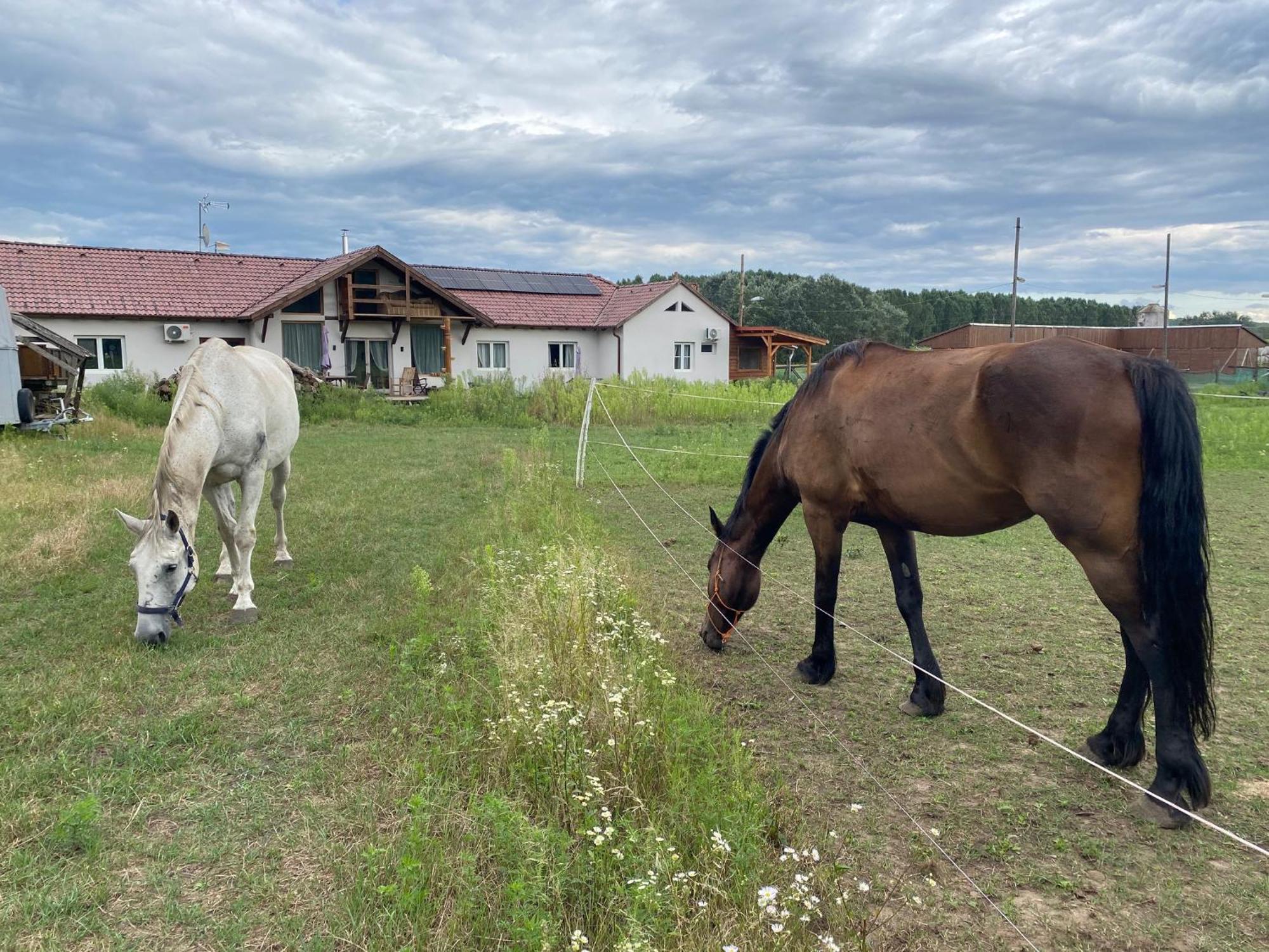 Tuender Pension Модьоровд Екстер'єр фото